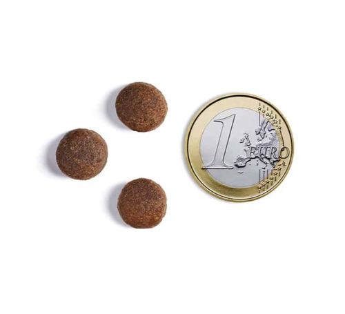 אמברוסיה צבי וכבש היפואלרגני 12 ק