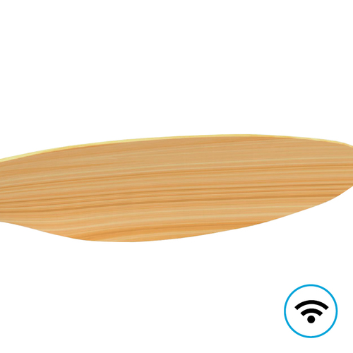 NORTHER WiFi 24 לבן+עץW CCT 42+שלט