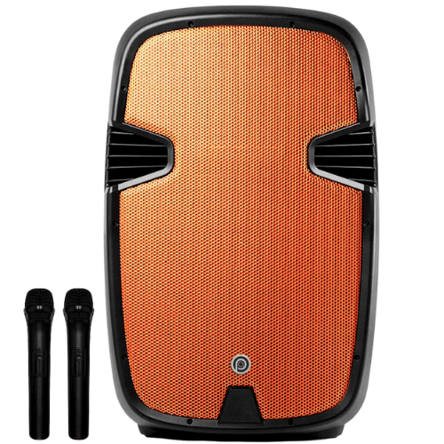 בידורית עם 2 מיקרופנים אלחוטיים 12 אינץ' Pure Acoustics PMW-3012 300W