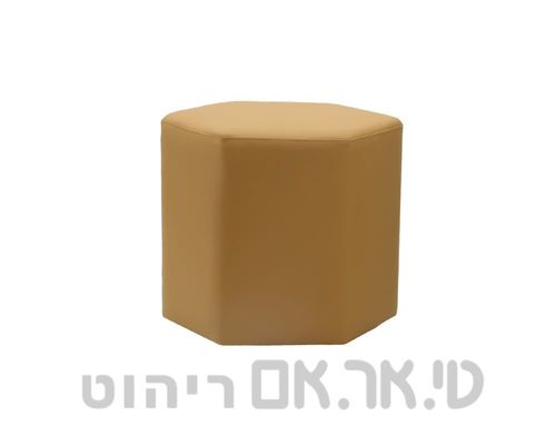 הדום משושה הקסגון