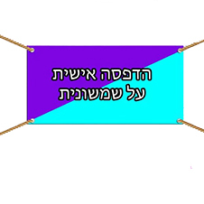 שמשונית בגודל 100X300