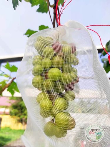 שקיות הגנה לפירות ממזיקים 20X30 - מארז 25 יחידות