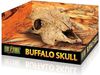 Buffalo Skull Decoration ExoTerra – דקורציית גולגולת בופאלו