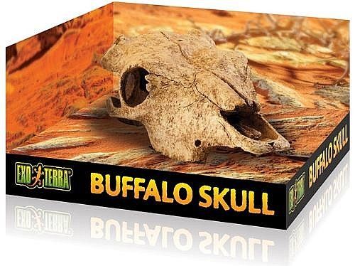 Buffalo Skull Decoration ExoTerra – דקורציית גולגולת בופאלו
