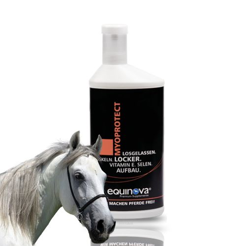 Equinova® Myoprotect – תוסף שרירים וסיבולת לסוסים