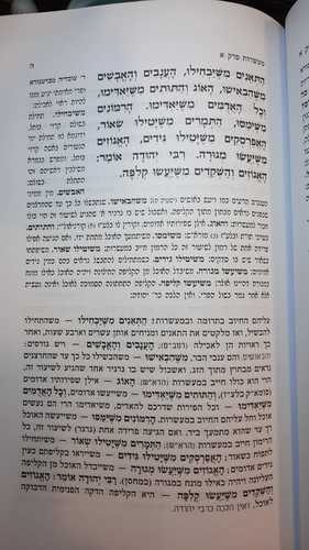 משניות קהתי (13 כרכים)