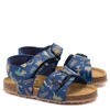 סנדל Plakton ESTAMPADO MARINO קטנים מידות 22-27