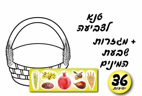 36 יצירה טנא ליצירה והדבקת שבעת המינים/אפונה