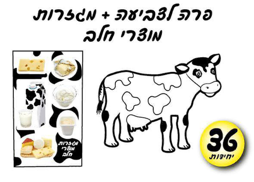 36 יצירה פרה לצביעה + מגזרות מוצרי חלב