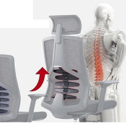 כיסא משרד KEISAR Bionic therapy