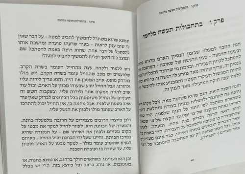 ויהי כדברה אל יוסף יום יום