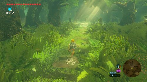 משחק לנינטנדו סוויץ' 2 - Nintendo Switch 2 Legend of Zelda: Breath of the Wild
