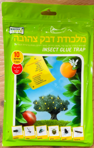 מלכודת דבק צהובה – 10 יח'