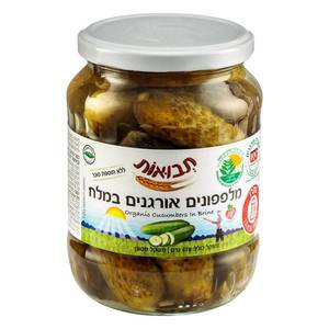 מלפפון במלח אורגני 670 גרם