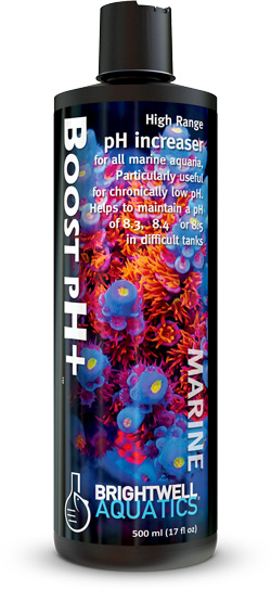ברייטוול פי איץ בוסט 500מ"ל PH BOOST