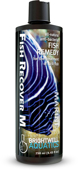 ברייטוול פיש ריקאבר 500 מ"ל  Fish Recover M