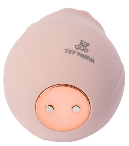 ויברטור פרחוני לעינוג חיצוני ואלגנטי ToyPharm Sensual Rose