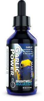ברייטוול גרליק פאוור 125מ"ל -Garlic Power