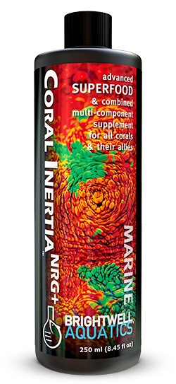 ברייטוול מזון אלמוגים 250 מ"ל +Coral Inertia NRG