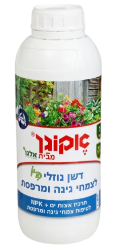 בקבוק דשן נוזלי אורגני אקוגן 1 ליטר עם תרכיז אצות ים לצמחי בית, גינה ומרפסת. מכיל אשלגן, זרחן וחנקן (NPK) ועשיר במינרלים והורמונים צמחיים טבעיים לצמיחה בריאה ומהירה. מיוצר בישראל על ידי אחים רוזנברג.