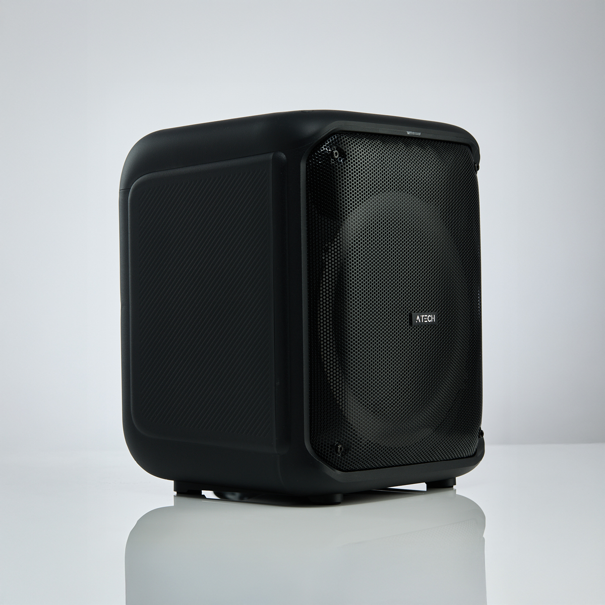 רמקול בידורית נייד 8 אינץ