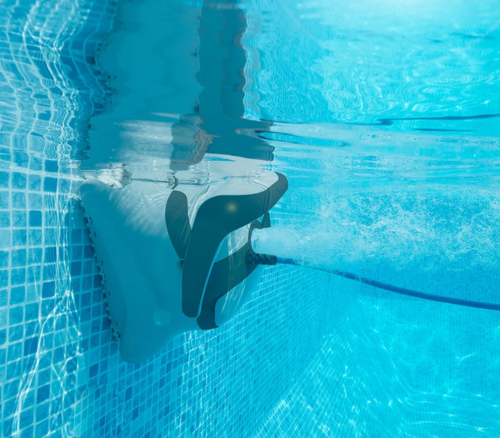 Dolphin Easy Comfort – בריכה נקייה בלי מאמץ