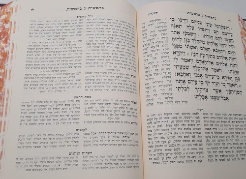 חומש החיד