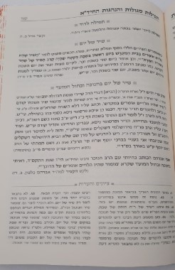 תפילות החיד