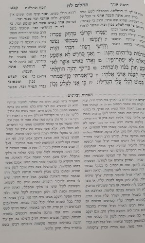 תהילים החיד