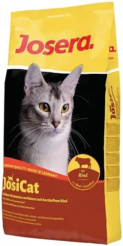 ג'וסי קט על בסיס בקר 18 ק