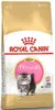 מזון לגורי חתול פרסי 4 ק"ג – Royal Canin Persian Kitten | מולי חיות מחמד