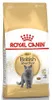 מזון לחתול בריטי שורטהייר בוגר 4 ק"ג  Royal Canin British  | מולי חיות מחמד