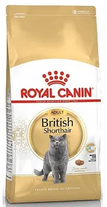 מזון לחתול בריטי שורטהייר בוגר 4 ק"ג  Royal Canin British  | מולי חיות מחמד