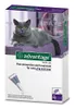אדוונטאג 80 לחתולים במשקל 4–8 ק"ג – Advantage Spot-On | מולי חיות מחמד