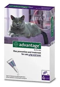 אדוונטאג 80 לחתולים במשקל 4–8 ק"ג – Advantage Spot-On | מולי חיות מחמד