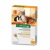 אדוונטג' 40 לחתולים וארנבים עד 4 ק"ג  Advantage Cats and Rabbits | מולי חיות מחמד