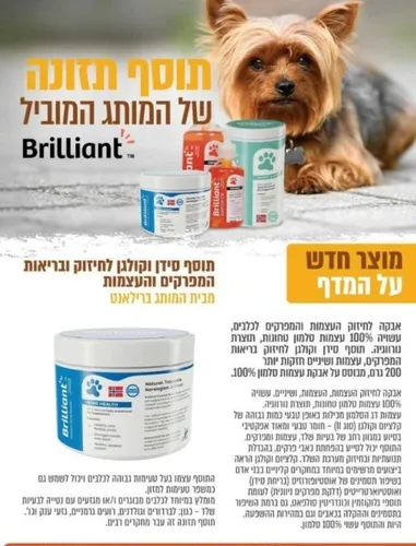 קלציום קולגן בריליאנט – אבקה לחיזוק עצמות ומפרקים לכלבים