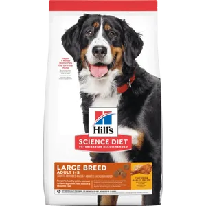 Hill