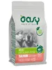 Oasy Salmon Mono Protein 2×12kg – מזון מונו פרוטאין סלמון | מולי חיות מחמד