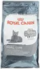 רויאל קנין אורל לחתול בוגר 3.5 ק"ג Royal Canin Oral Care | מולי חיות מחמד