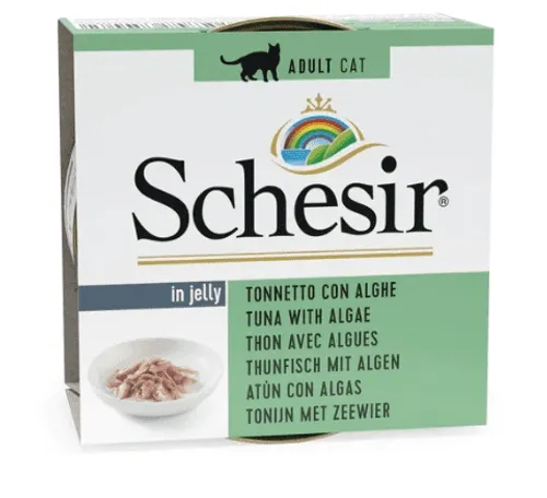 שזיר Schesir -IN JELLY מזון רטוב משלים בג'לי לחתולים בטעמים