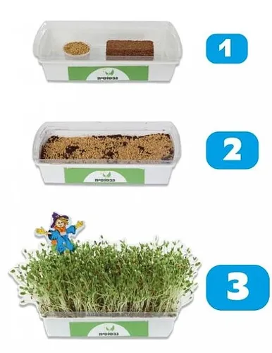 עשב חיטה להנבטה לכלבים, חתולים ולמכרסמים חוות שילוני -HAY PET