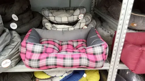 מיטת כותנה ופוך מלבנית ורכה לכלבים קטנים ובינוניים בגוון אפור חלק עם דפנות מוגבהות תומכות ומזרן פנימי נשלף דגם פטס פרוג'קט מידה M מולי חיות מחמד