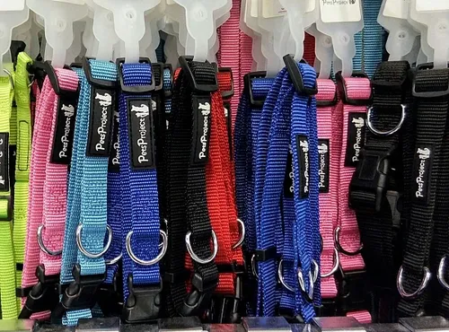 קולר בייסיק בצבעים S