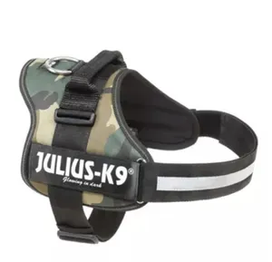 רתמת אילוף / עבודה לכלב Julius – יוליוס | מולי חיות מחמד