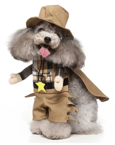 תחפושת לכלבים חייל מנומר soldier costume