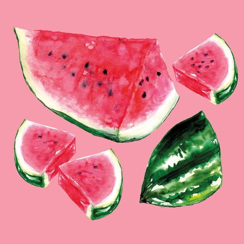 חבילת מפיות אבטיח Melon Napkins