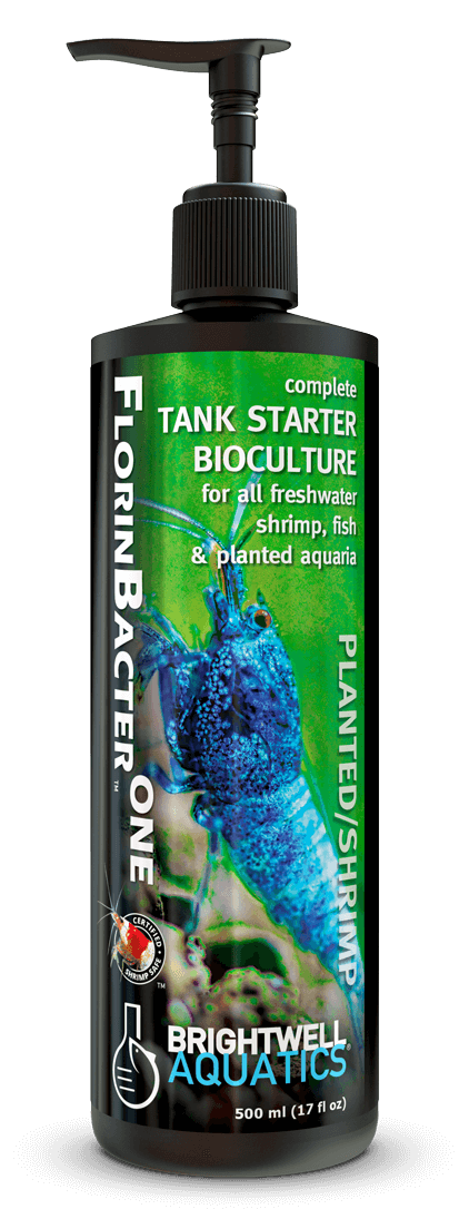ברייטוול פלורין בקטר וואן  125 מ"ל -FLORINBACTER ONE