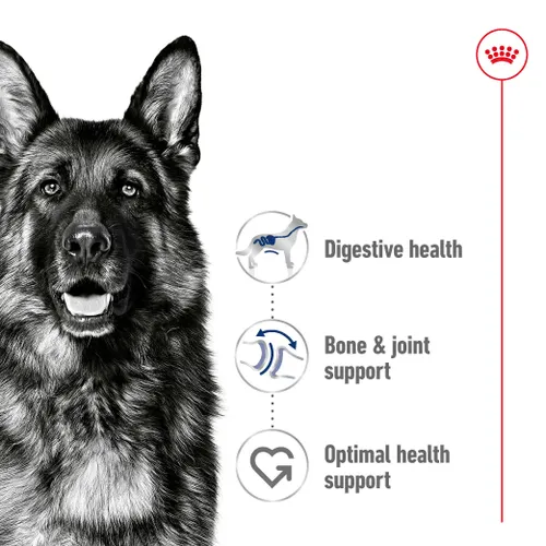 שקית מזון יבש לכלב בוגר מגזע גדול Royal Canin Maxi Adult 3182551065404 - אריזת 15 ק