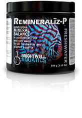 ברייטוול רימינרל 500גרם-Remineraliz-P